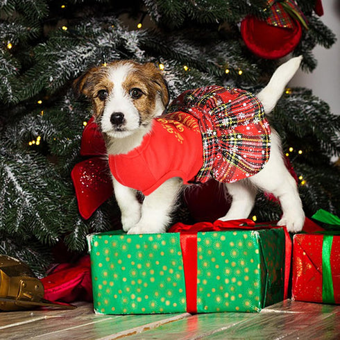 Dog Christmas Outfit Dog Dresses for Medium Dogs Girl XXS Puppy Clothes Holiday Pet Dress Xmas Cat Apparel Clothing Plaid Doggy Skirt Party XXS Do...