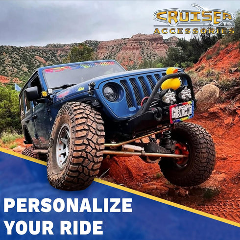 Cruiser Accessories 22230 Barbed Wire II License Plate Frame, Chrome, 1 Frame...