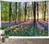 HVEST Forest Sunshine Tapestry Wall Hanging Spring Purple Lavender Morning Sunlight Through Green Trees Tapestry Nature Landscape Tapestry for Liv...