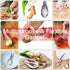 Stainless Steel Ginger Grater Spoon Lime Lemon Zester Cheese Grater Wasabi Ginger Stainless Garlic Press Grinding Gadget...