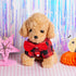3 Pack Plaid Puppy Cat Shirt Cute Dog Shirt Cat Shirt Dog Plaid Shirt Dog Shirts for Medium Dogs Cats Birthday Party and Holiday Photo...