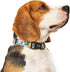 Dog Collar for Small Dogs Floral Dog Collars with Quick Release Safety Buckle Soft Comfortable Cute Pet Collar for Girl Dog Boy Dog...