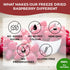 100% Canada Raspberries - Natrihealth Freeze Dried Raspberries 20gx2...