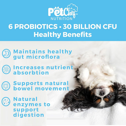 Pet Chef Probiotics Prebiotics Chew Treats for Dogs - Digestive Gut & Bowel Health Blend, Ideal for Puppies and Old Dogs with Stomach Issues, Alle...