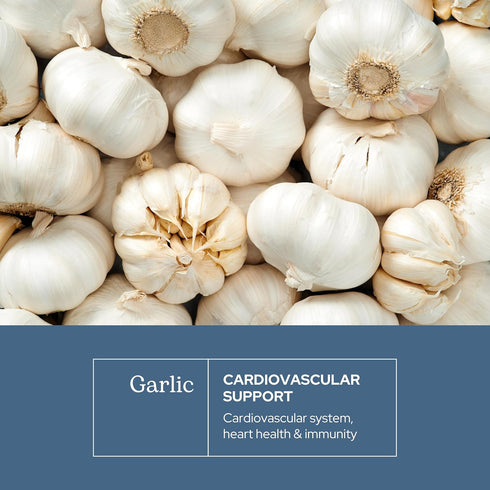 Eclectic Institute Raw Freeze-Dried Non-GMO Garlic | Antioxidants for Health, Helps Maintain Healthy Circulation | 90 CT...