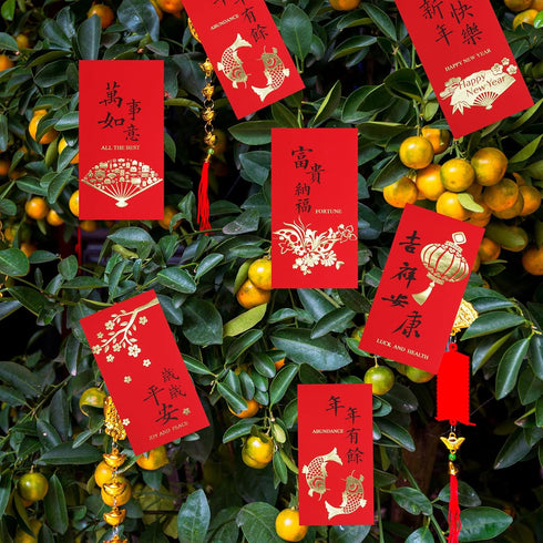 Supla 120 Pcs 6 Design Chinese Hong Bao Red Envelopes Lucky Money Envelopes Red Packet Lai See Lucky Packet Cash Envelope Red Pockets for Chinese ...