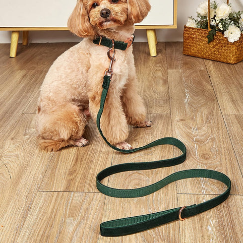 Dog Collar and Leash Set?Soft & Comfy Velvet Dog Collar and Leash with Heavy Duty Metal Buckle and D-Ring Adjustable Collars for Small Medium Larg...