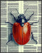 Posterizer 1 pcs-detailed bug on vintage dictionary page 1-Art for Animal Lovers-Vintage Art-Gift for Art Lovers- unframed wall art...