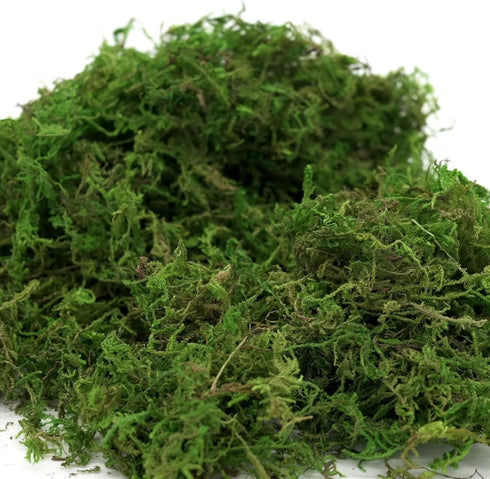 Usmola Fake Moss, Artificial Green Moss for Potted Plants Fairy Garden Accessories, 4OZ (Fresh Green)...