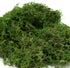 Usmola Fake Moss, Artificial Green Moss for Potted Plants Fairy Garden Accessories, 4OZ (Fresh Green)...