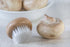 Fox Run Wood Mushroom Brush, Nylon Bristles 2 x 2 x 1.25 inches...