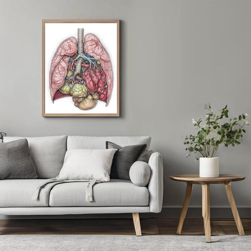 Posterizer 1 pcs-detailed anatomical illustration of the human lungs 2-Teachers & Classrooms-Abstract & Modern Art-School and classroom art- unfra...