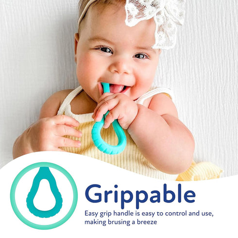 Dr. Talbot's 2-Piece Infant Toothbrush Training Set with Easy Grip Handle - 6+ Months...