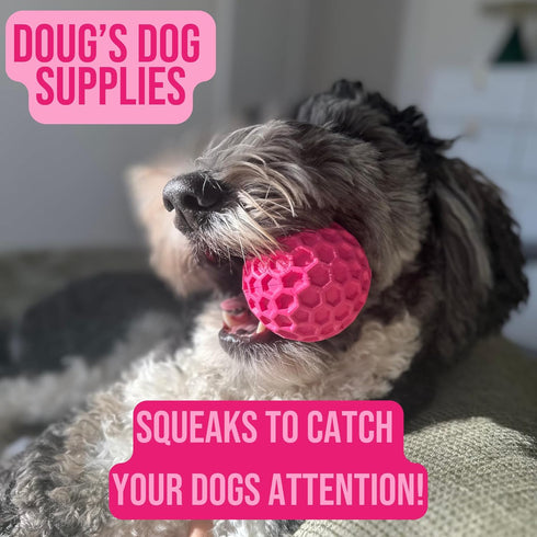 Honeycomb Squeaky Ball, Dog Balls, Squeaky Balls for Dogs, Rubber Dog Ball for Medium to Large Dogs (Pink, 1)...