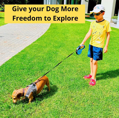 Dog Leash - Retractable Leash for Pets, Puppies, Small and Medium Breeds. Tangle Free 16FT Extendable Leash for Dogs with Removable Poop Bag Dispe...