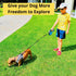 Dog Leash - Retractable Leash for Pets, Puppies, Small and Medium Breeds. Tangle Free 16FT Extendable Leash for Dogs with Removable Poop Bag Dispe...
