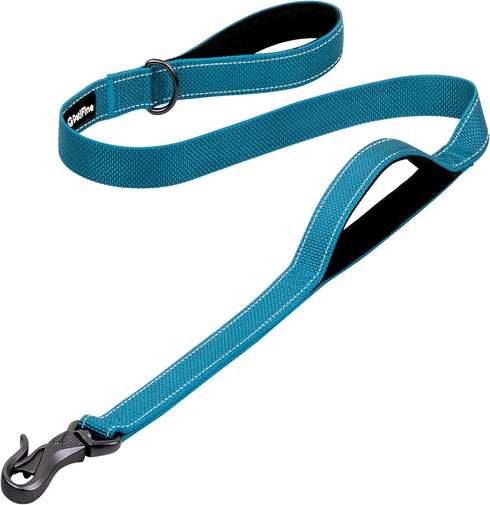 PetiFine 4FT Heavy Duty Dog Leash with Soft Padded Double Handle, Durable Strong Clasp Dog Leashes, Reflective Nylon Walking Lead for Large,Medium...