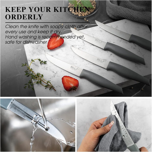 Steak Knives Set of 4,Stainless Steel Steak Cutlery Sets,4.5 In Sharp Blade Rust-proof Steak Knife with Serrated Edge, Dishwasher Safe Steak Knive...