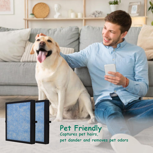 MK04 MG04JH True HEPA Replacement Filter, Compatible with AROEVE MG04JH MK04 Air Purifier, Compare to Part# MK04LX, 2Pack (MK04 Blue)...