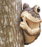 Keeping Quiet Frog Tree Peeker Garden Tree Sculptures Outdoor Tree Face Garden Tree Hugger Statues Indoor Outdoor Yard Decoration (gery)...