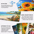 4 Pack (2 x 16 & 2 x 35)Large Piece Puzzles for Seniors, 4 Style Dementia Puzzles for Elderly, Jigsaw Puzzles Gift for Dementia Alzheimer's Produc...