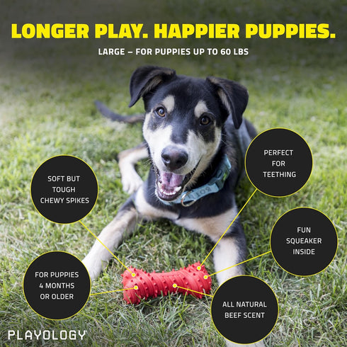 Playology Puppy Teething Bone Dog Toys, Large - Chew Toys with Squeaker for Puppies 4-8 Months (All breeds up to 60 lbs) - Engaging All-Natural Be...