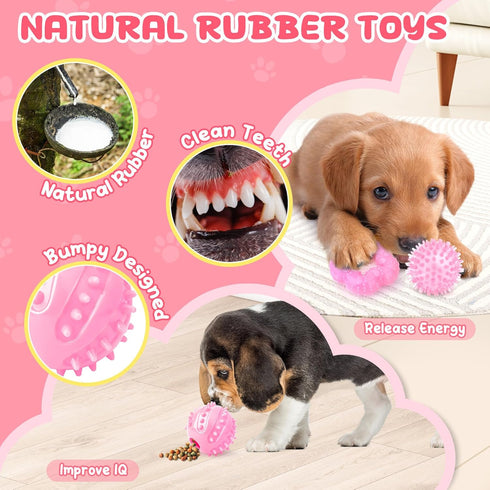 Pink Puppy Toys - 9 Pack Puppy Chew Toys for Teething, Interactive Dog Toys for Puppies, Small Dog Toys with Squeaky Toys, Treat Ball and Ropes...