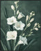 Posterizer 1 pcs-white minimalistic flowers-green background-Floral & Botanical Art-Abstract & Modern Art-Decor for Home & Office- UNFRAMED Wall A...