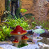 Saim Mushroom House Aquarium Decorations Fish Tank Rocks Caves Landscape Ornament Mini Landscape House Fairy Garden Decoration...