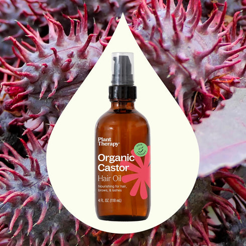 Plant Therapy Castor Oil USDA Organic Cold Pressed 100% Pure Hexane Free 4 oz Conditioning & Healing, For Dry Skin, Hair Growth - Skin, Hair Care,...