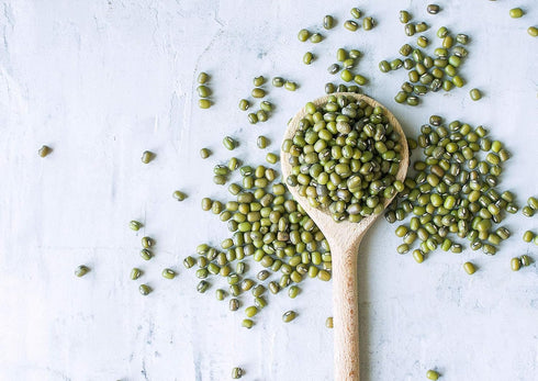 Food to Live Organic Mung Beans, 8 Ounces – Non-GMO, Whole Dried Beans, Green Gram, Sproutable, Kosher, Sirtfood. Good Source of Fiber and Protein...
