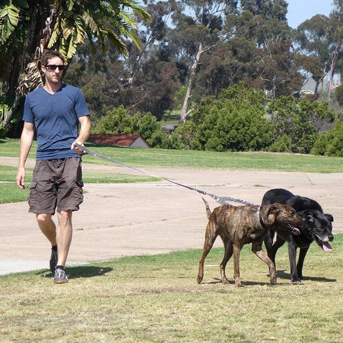 Heavy Duty 3 Dog Leash,3 Way Dog Leash No Tangle,Detachable 360° Swivel Device,Multiple Dog Leash with Padded Handle,for Walking and Training Two/...