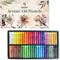 HA SHI Soft Oil Pastels Set (50 Sticks, 48 Colors) Art Supplies for Artist, Gallery Oil Painting Stick, Classroom Set, Professional Oil Crayons, I...
