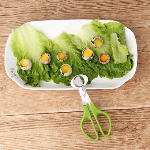 Calary 3Pcs Quail Egg Cutter Scissors Kitchen Egg Shears Tool (Green)...