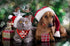 4PCS Christmas Dog Bandanas + 1PCS Xmas Collar, Puppy Accessories Scarf Bulk for Cat...