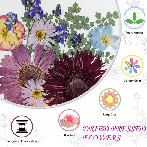Dried Pressed Flowers for Resin, Big Size Pressed Flowers Dry Leaves Bulk Natural Herbs Kit for Scrapbooking DIY Art Crafts, Candle Making, Nails ...