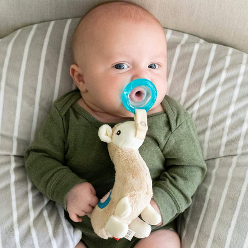 Nuby Soft Plush Pacifinder with Detachable Silicone Pacifier: 0-6 Months, Llama, Natural Cherry Shape, Multi, one Size...