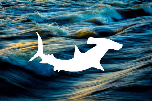 12-Inch Hammerhead Shark Style Design Stencil, Reusable Mylar Cutout for Sign Art, Crafts & DIY Projects...