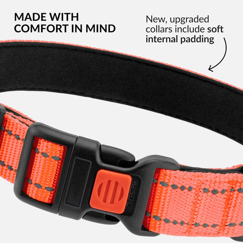 CollarDirect Reflective Dog Collar for a Small, Medium, Large Dog or Puppy with a Quick Release Buckle - Boy and Girl - Nylon Suitable for Swimmin...