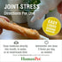 HomeoPet Joint Stress, Joint Support for Dogs and Cats, Liquid Pet Meds to Support Healthy Joint Movement, 15 Milliliters...