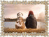 Licotom Luxury Metal Picture Frame with Brilliant Crystals, Gold Photo Frame 5 x 7 inch...