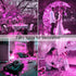 JMEXSUSS 2 Pack Pink Solar Christmas Lights, 33ft 100 LED Solar String Lights Outdoor Waterproof, 8 Modes Solar Fairy Lights for Outside Garden Pa...
