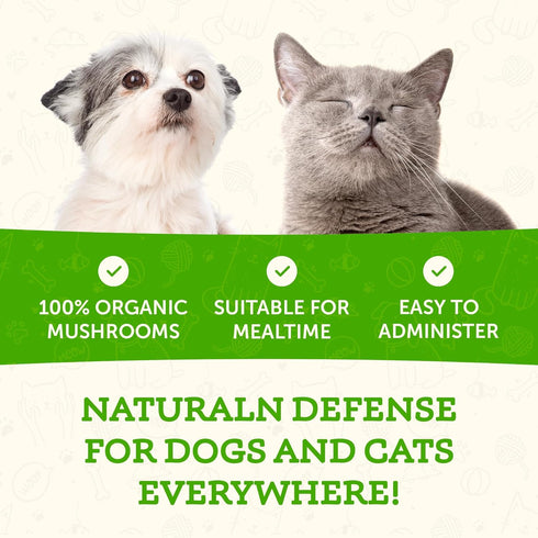 Animal Essentials WELLNESS Maitake Mushroom Supplement for Dogs & Cats - Healthy Immune Response, Supports Circulatory Function, Critical Immune D...