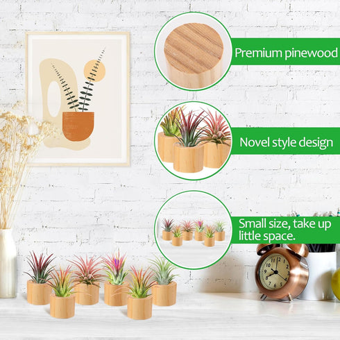 Set of 6 Wood Air Plant Holder- Rustic Style Air Plant Pots Indoor Decorative Air Plants Display Containers Table Centerpiece for Home Office Tabl...