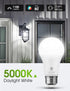 LOHAS Dusk to Dawn Sensor Light Bulbs Outdoor, A19 12W(100 Watt Equivalent) LED Bright Porch Lighting, Daylight White 5000K, 1100LM, Auto-On/Off, ...
