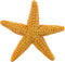 Safari Ltd. Starfish Figurine - Vibrant 4.5" Sea Star Figure - Educational Toy for Boys, Girls, and Kids Ages 3+...