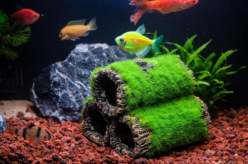 Fish Tank Decorations Aquarium Décor Resin Artificial Tree Trunk Root (C)...