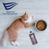 Ernie Els Premium Salmon Mousse Topper for Cat Food - Omega-Rich, Grain-Free Cat Treat (Pack of 2)...