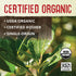 ECOTEAS Organic Unsmoked Yerba Mate Tea Bags - 24 Count, 1.7 Oz - Organic Detox Tea - Hi Caf Tea - Clean Yerba Mate Energy Burst - Ecoteas Yerba M...