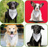 Shy Please Give Me Space Dog Bandana Funny Puppy Bandana Triangle Photo Prop Pet Scarf Accessories for Dog Lovers Gift...